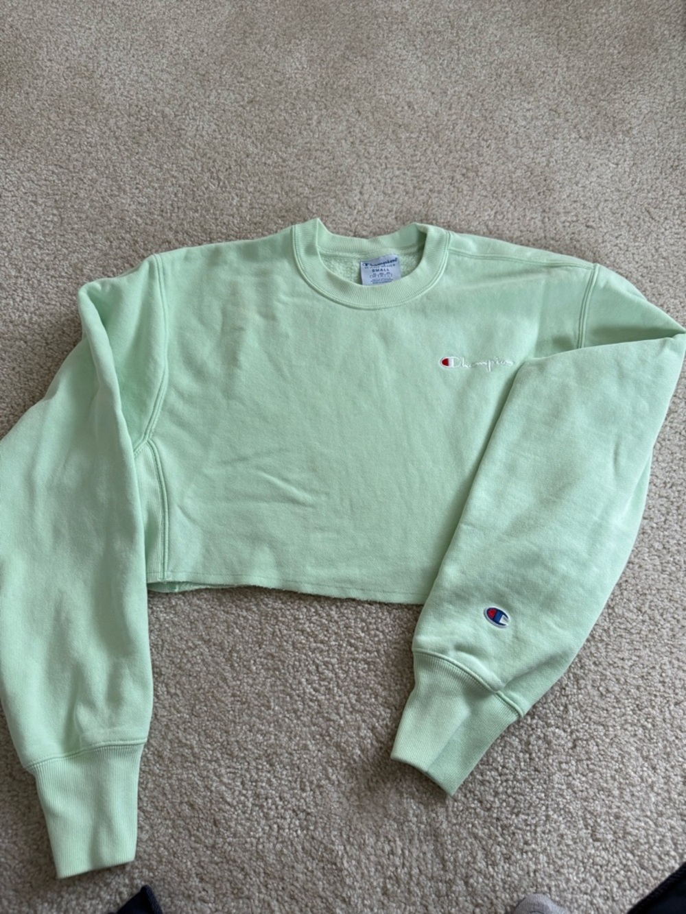 Champion Mint Green Cropped Crewneck Sweatshirt